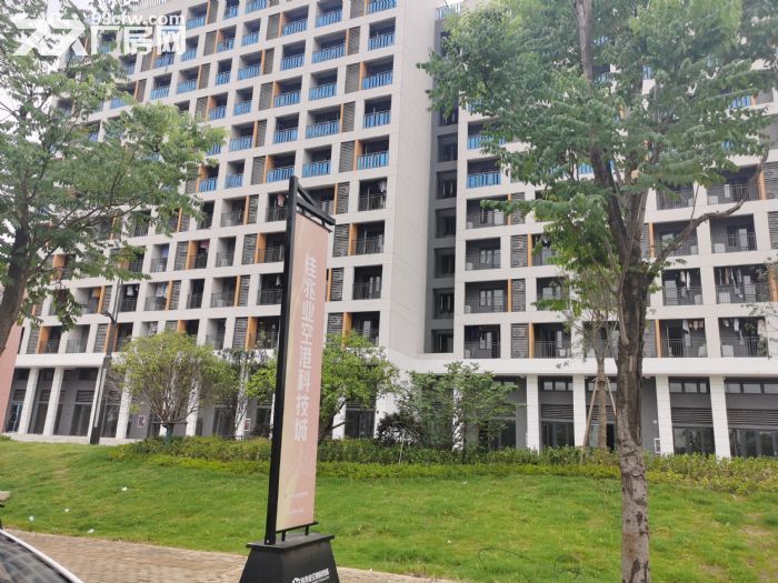 园区直租 800&minus;5000平米全新厂房出租 面积大小任意组合-图5