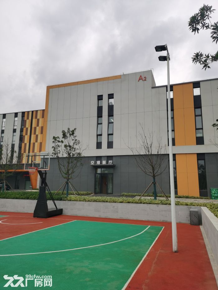 园区直租 800&minus;5000平米全新厂房出租 面积大小任意组合-图6