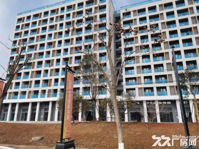 高端园区600&minus;5000平框架厂房租售-图4