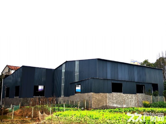 麻里泗农机市场附近900㎡厂房招租/可独租也可合租-图3