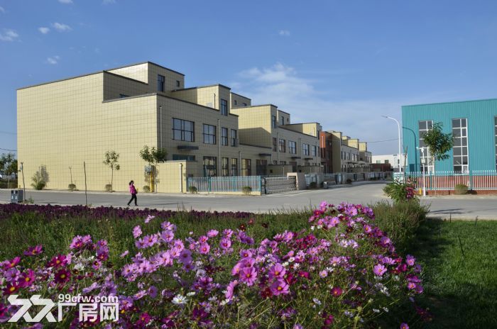 银川工业园区厂房出售（有产权可以按揭），租赁免租一年-图3