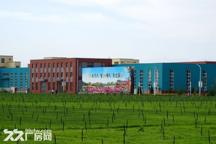 银川望远厂房出租、出售-图2