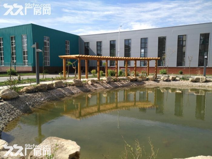 银川厂房−望远厂房，独立分户产权厂房出租出售-图3
